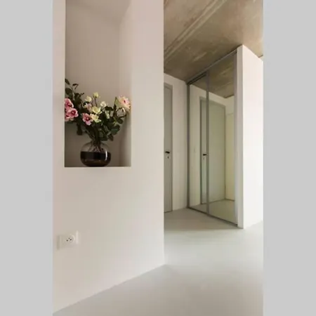 Appartement Luxueux טולוז